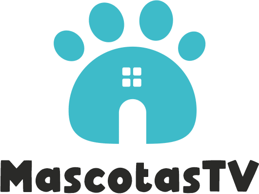 Mascotas TV